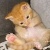 onlymeeone4