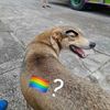 userdesconocido