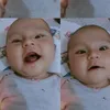 3sha454