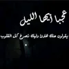 shsh2294
