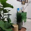 hanguyenthi905