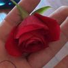 ORDAN BURDAN VİDEO