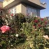 user9619014161808