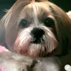 noellephilippe0