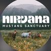 nirvanamustangsanctuary1
