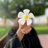 Pakhii:)🕊️💫