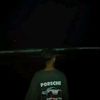 loyal_bay