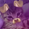 nvxauzai