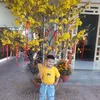 phmyn253
