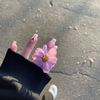 flowerr11256