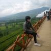 aimantea.3