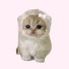 cute.n4na