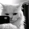 yann_simanjuntak