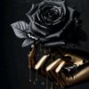 user8053017304221