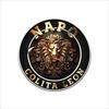 napocolitaleon