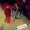 elche4058