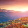 renat_vo5