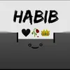 habibenaoui2