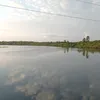 edu52714