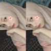 ifha_layla