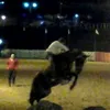 jairoandraderibei