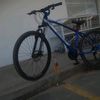 cristianadan55