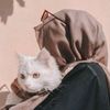 mehrunisa489