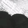 denn15__