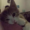 risxzz_26