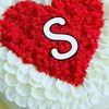 user6313543481157