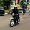 dogolputra.s98