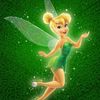 pixie_kitten_881