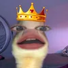 nglnpds