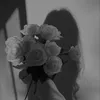 j1_5050
