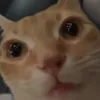 userff5odqrca1