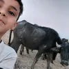 hasan.mohameb