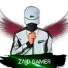 z_a_i_dpro14