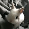 snowxz32