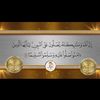 user3868806662181