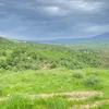 mostafaal051