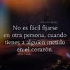 tommypacheco25