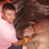sergiudon5