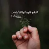 user8103718454301
