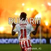 stefi_mp11
