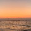 arava_2909