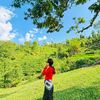 sunitatmg572