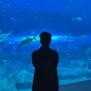 ninhhieu.27
