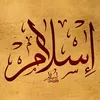 user5558802