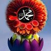 user635023786166