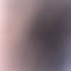 .harel_.yifrach